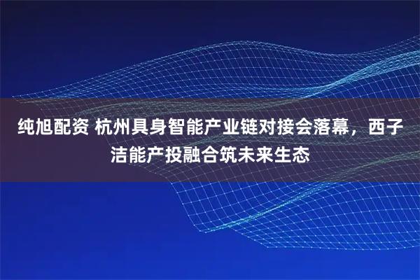 纯旭配资 杭州具身智能产业链对接会落幕，西子洁能产投融合筑未来生态