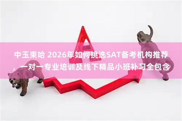 中玉束哈 2026年如何挑选SAT备考机构推荐，一对一专业培训及线下精品小班补习全包含