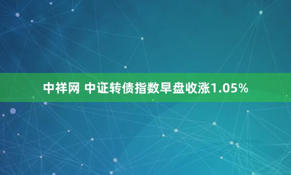 中祥网 中证转债指数早盘收涨1.05%